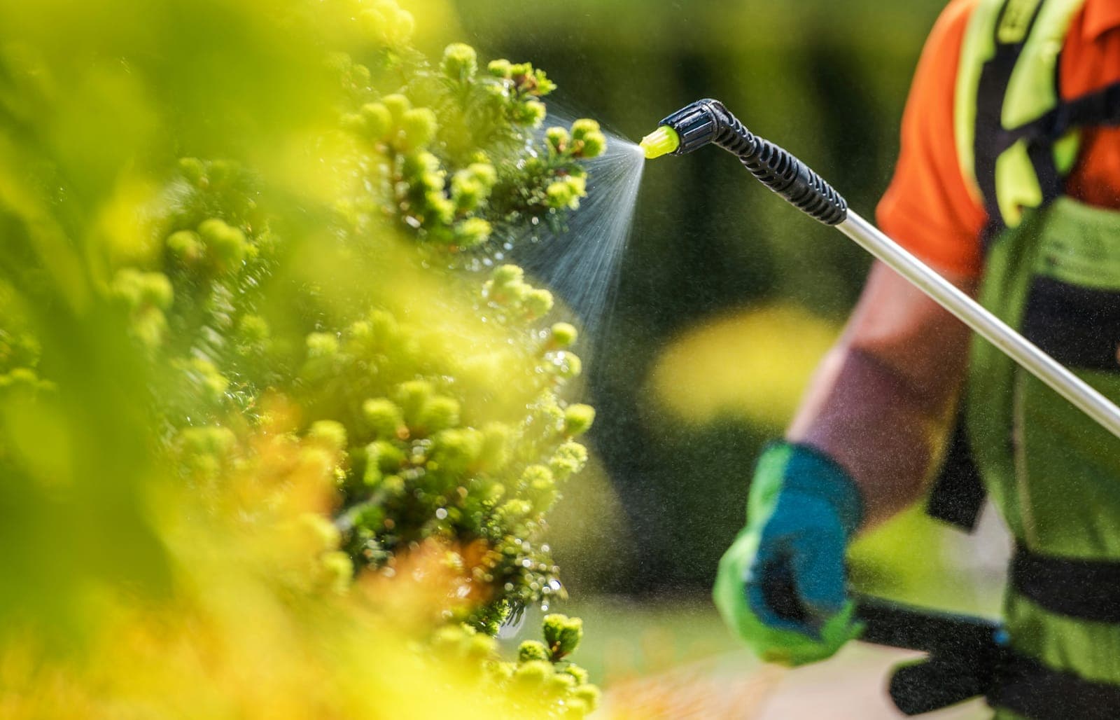 Roundup Lawsuit Update, Mid-2026